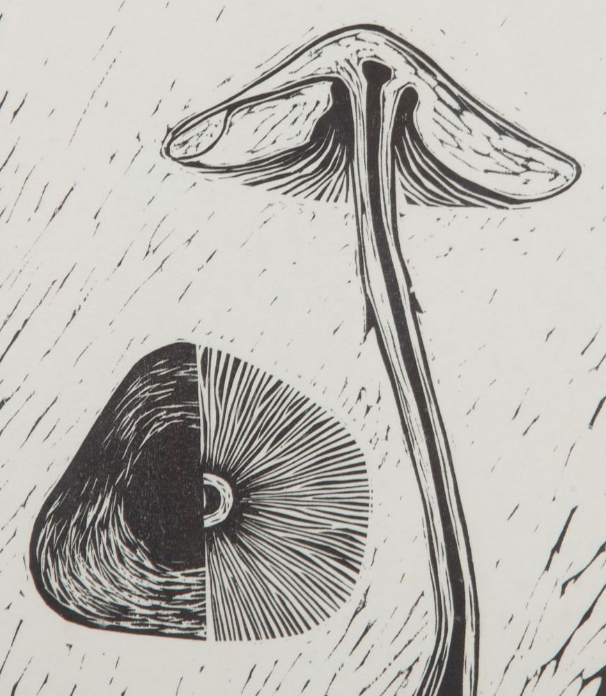 Collection of Eighteen 20th Century Swiss Mushroom Woodcut Prints WD3739308
