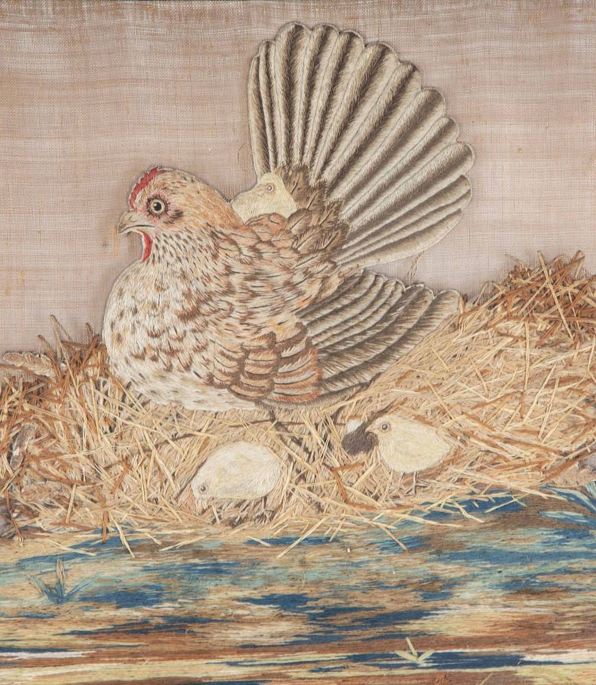19th Century French Needlework Picture of a Chicken WD6332830