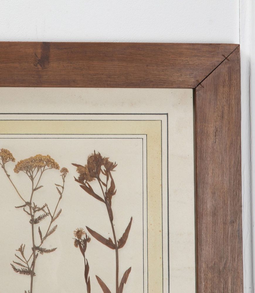 20th Century Italian Preserved Flowers WD7639372