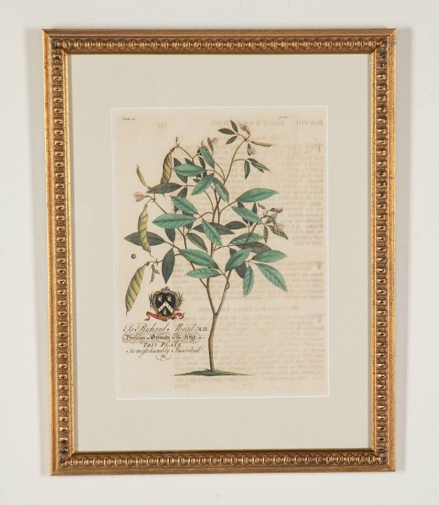 Set of Eight 18th Century Tropical Palm Tree and Plant Prints WD9043571