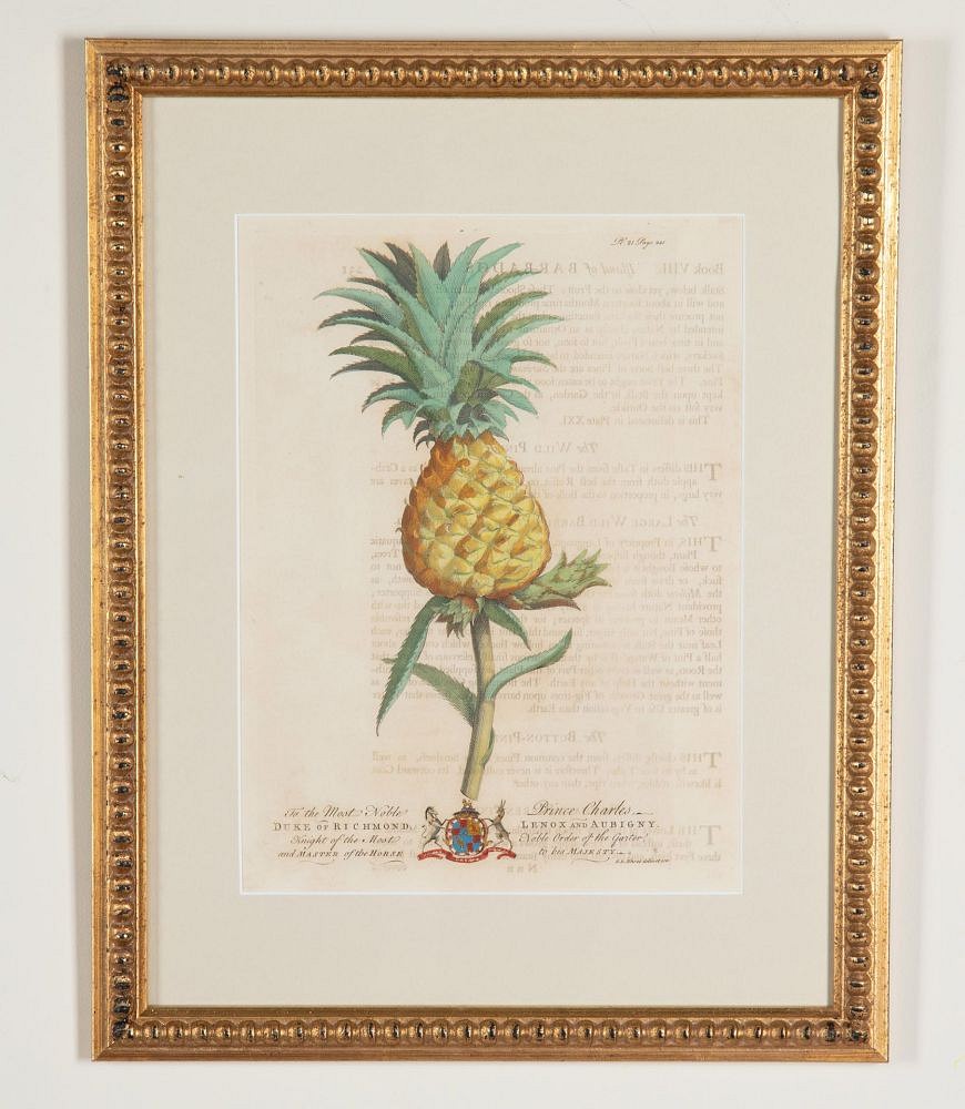 Set of Eight 18th Century Tropical Palm Tree and Plant Prints WD9043571