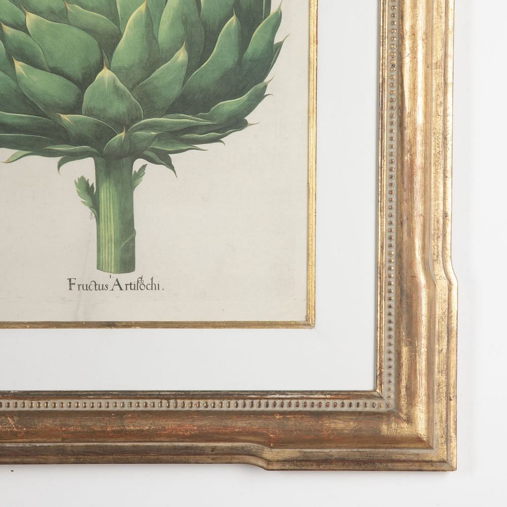 20th Century Print of Basilius Besler Artichoke WD9031034