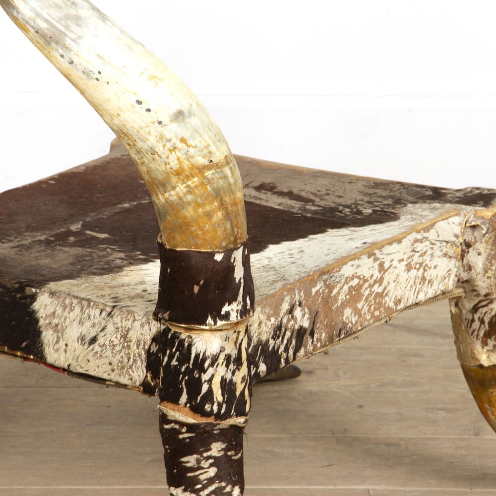 Late 19th Century Steer Horn Chair CH4517864