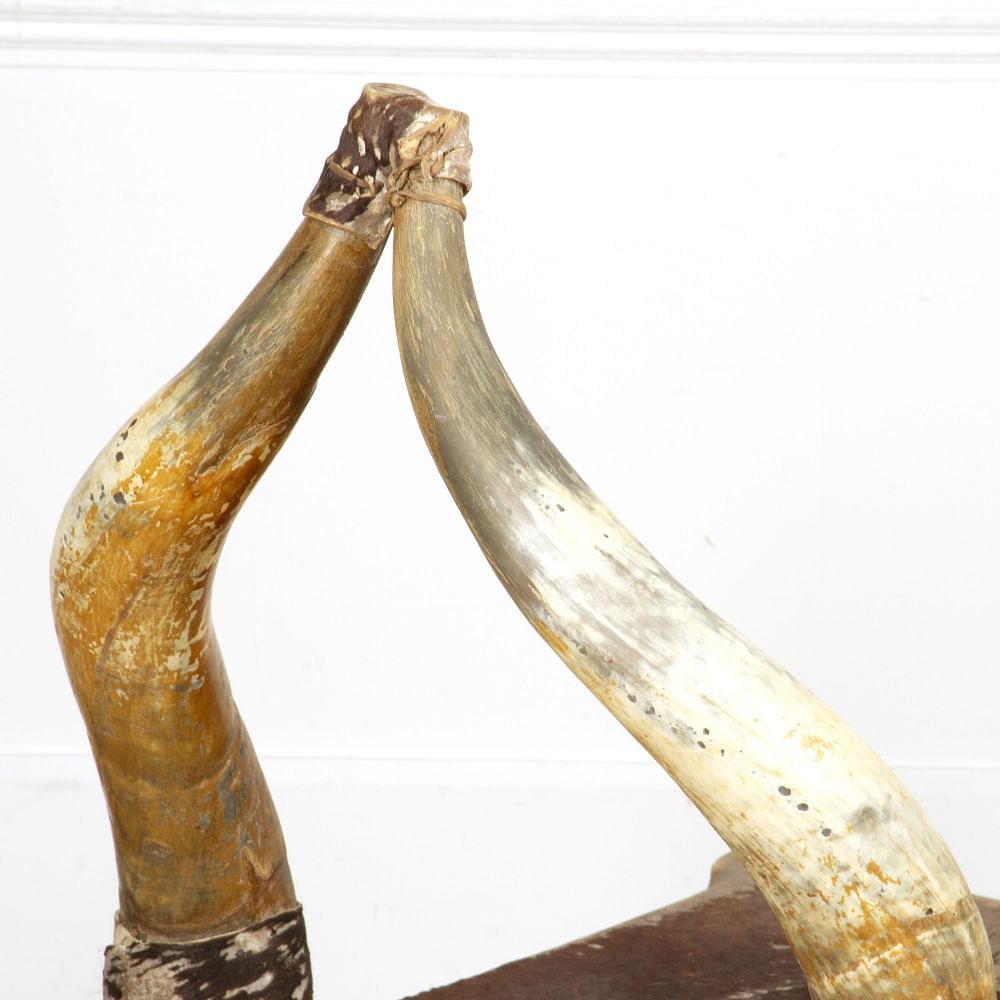 Late 19th Century Steer Horn Chair CH4517864