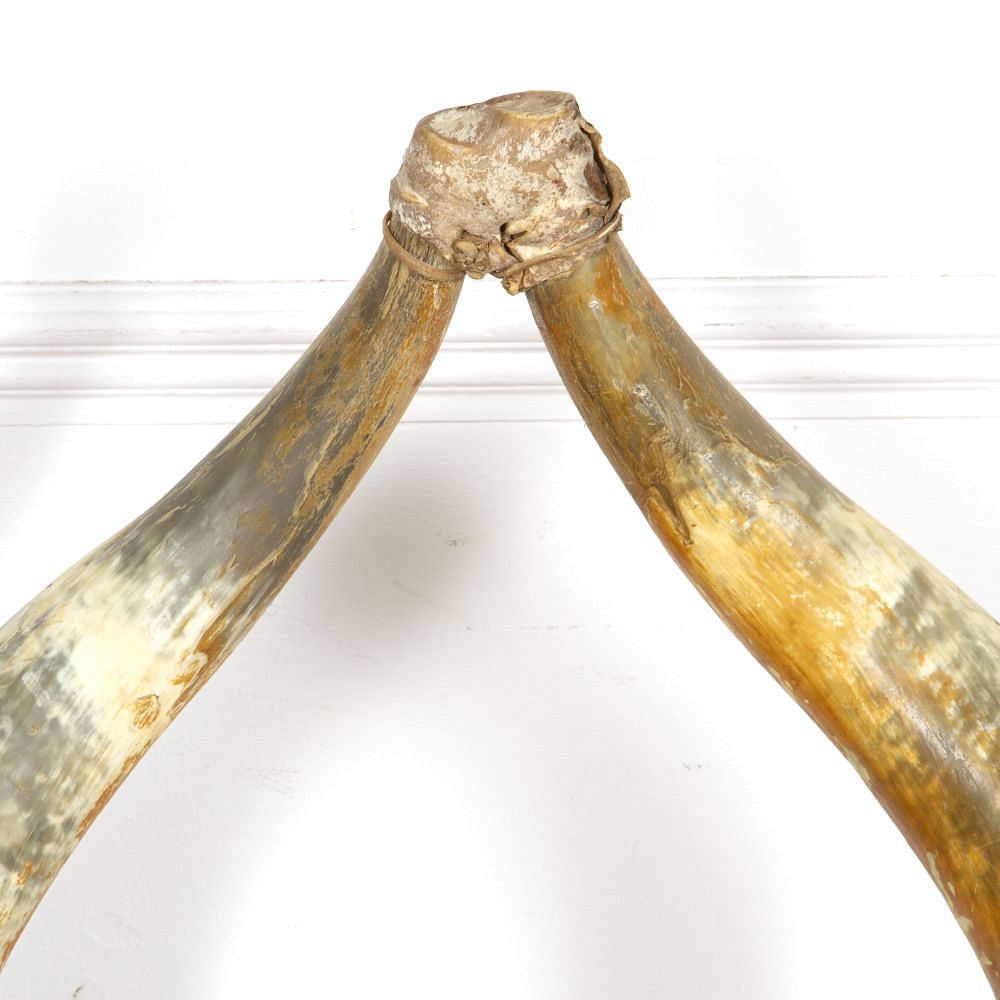 Late 19th Century Steer Horn Chair CH4517864