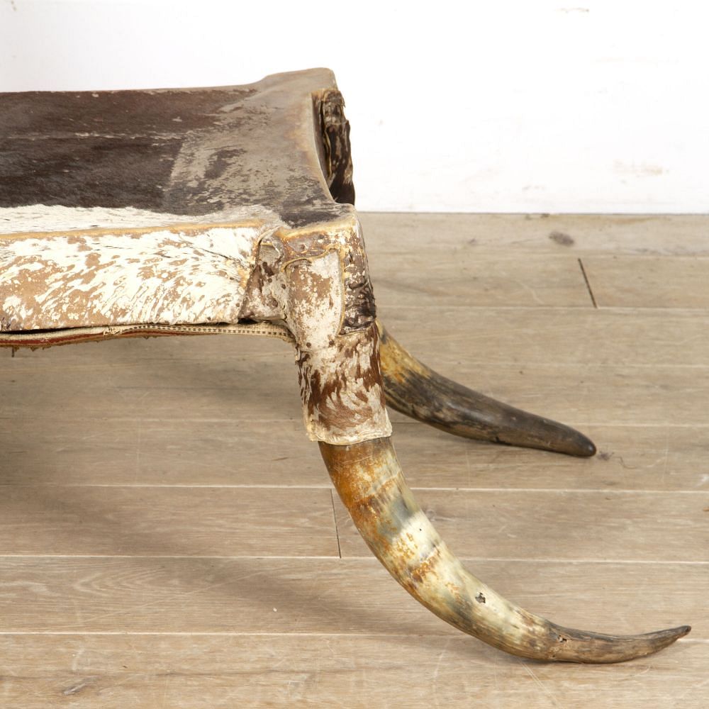 Late 19th Century Steer Horn Chair CH4517864
