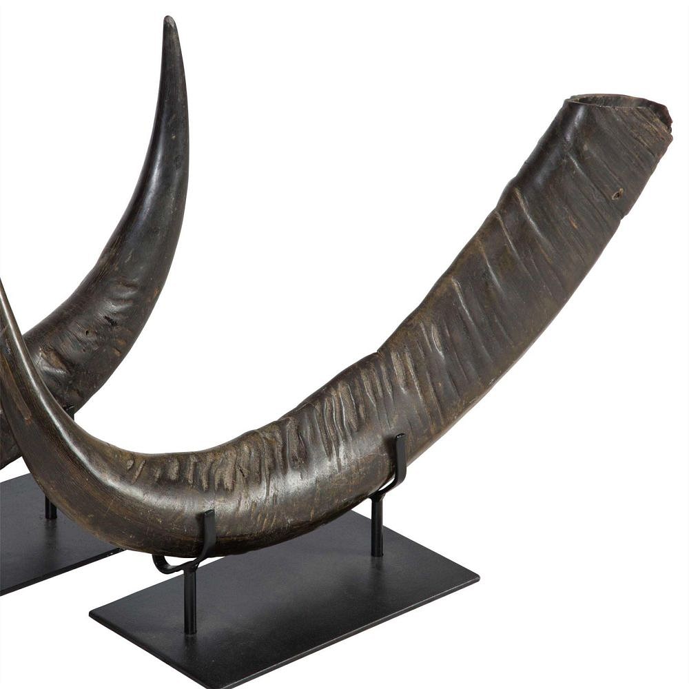 Pair of Mounted Horns DA0112597