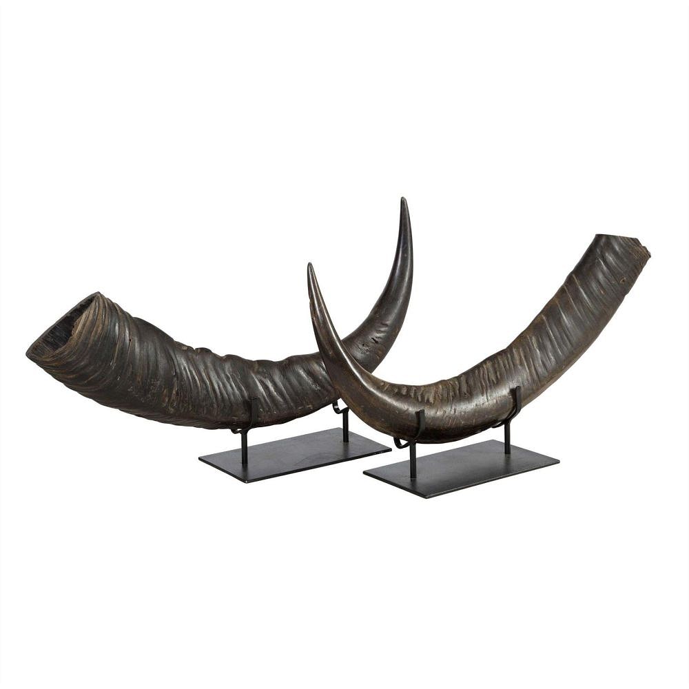 Pair of Mounted Horns DA0112597