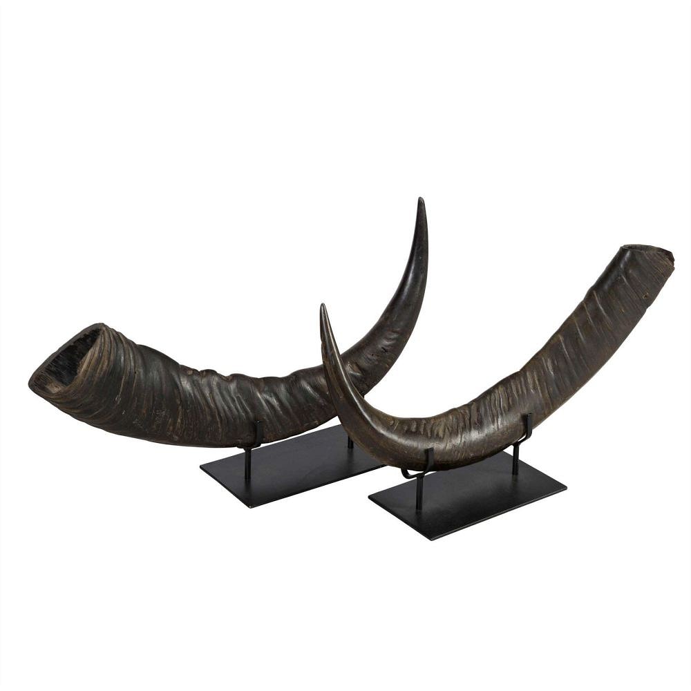Pair of Mounted Horns DA0112597
