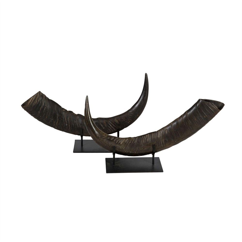 Pair of Mounted Horns DA0112597