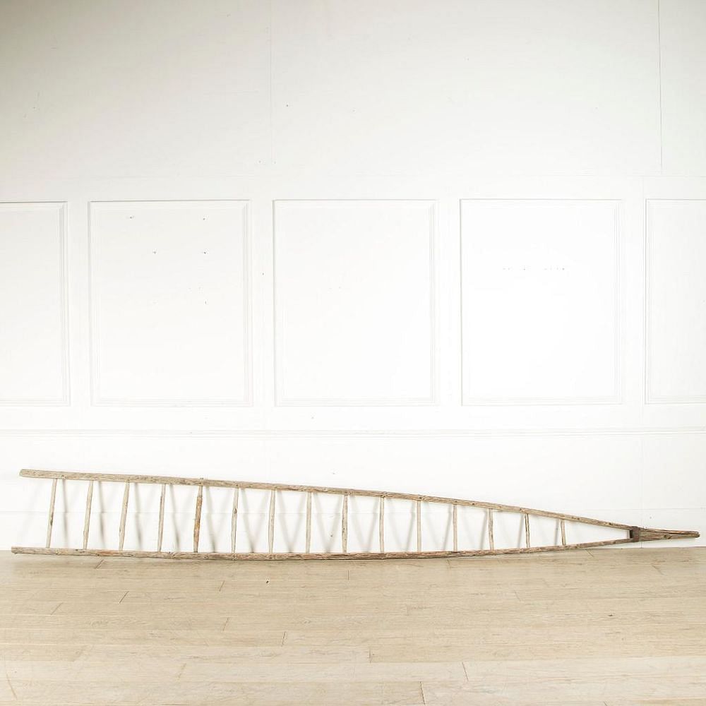 Tall French Orchard Ladder DA159325
