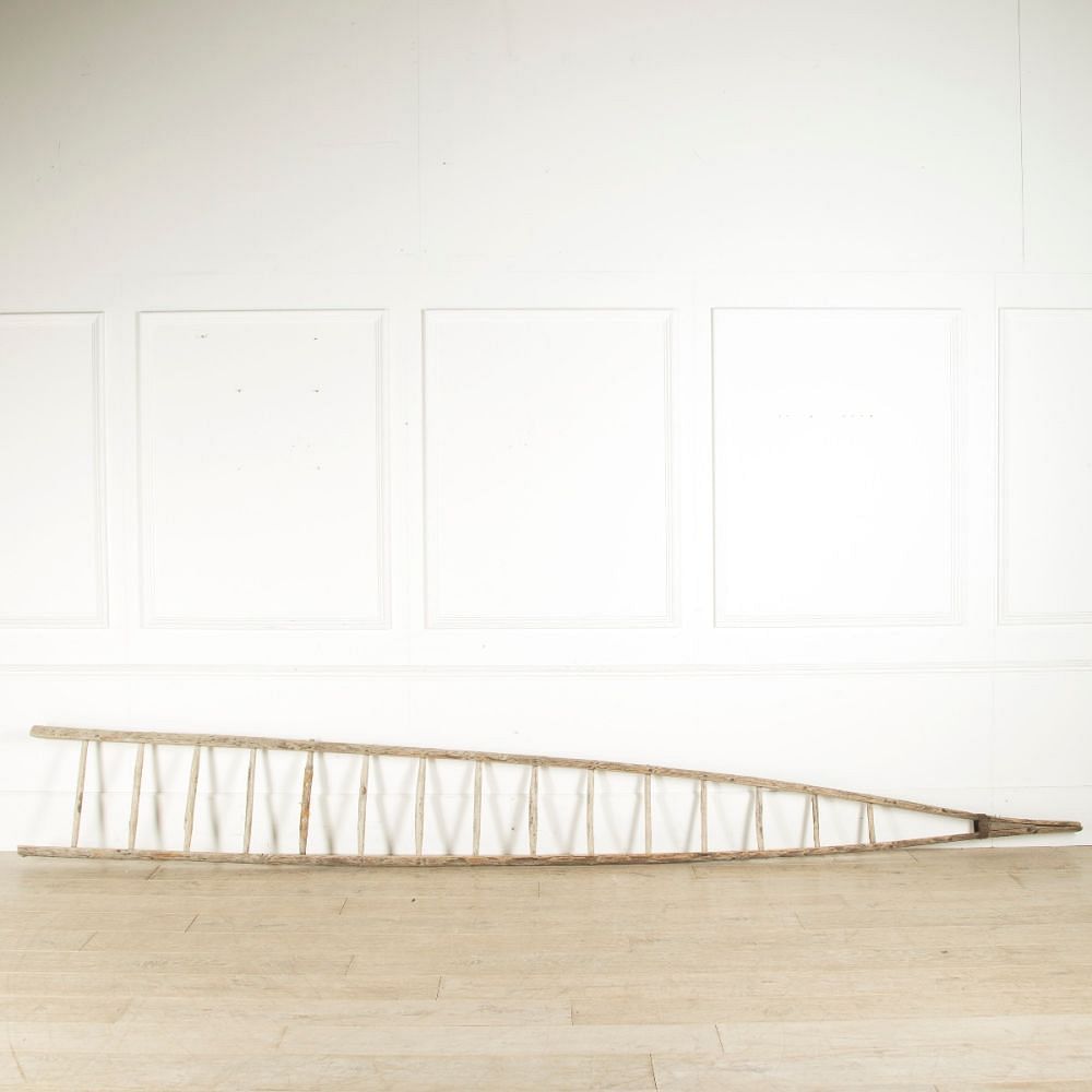 Tall French Orchard Ladder DA159325