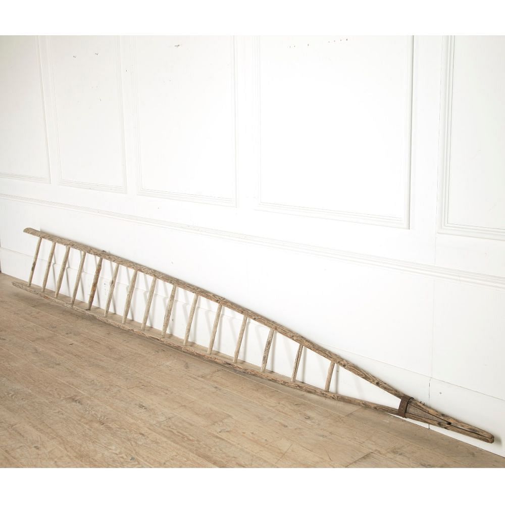 Tall French Orchard Ladder DA159325