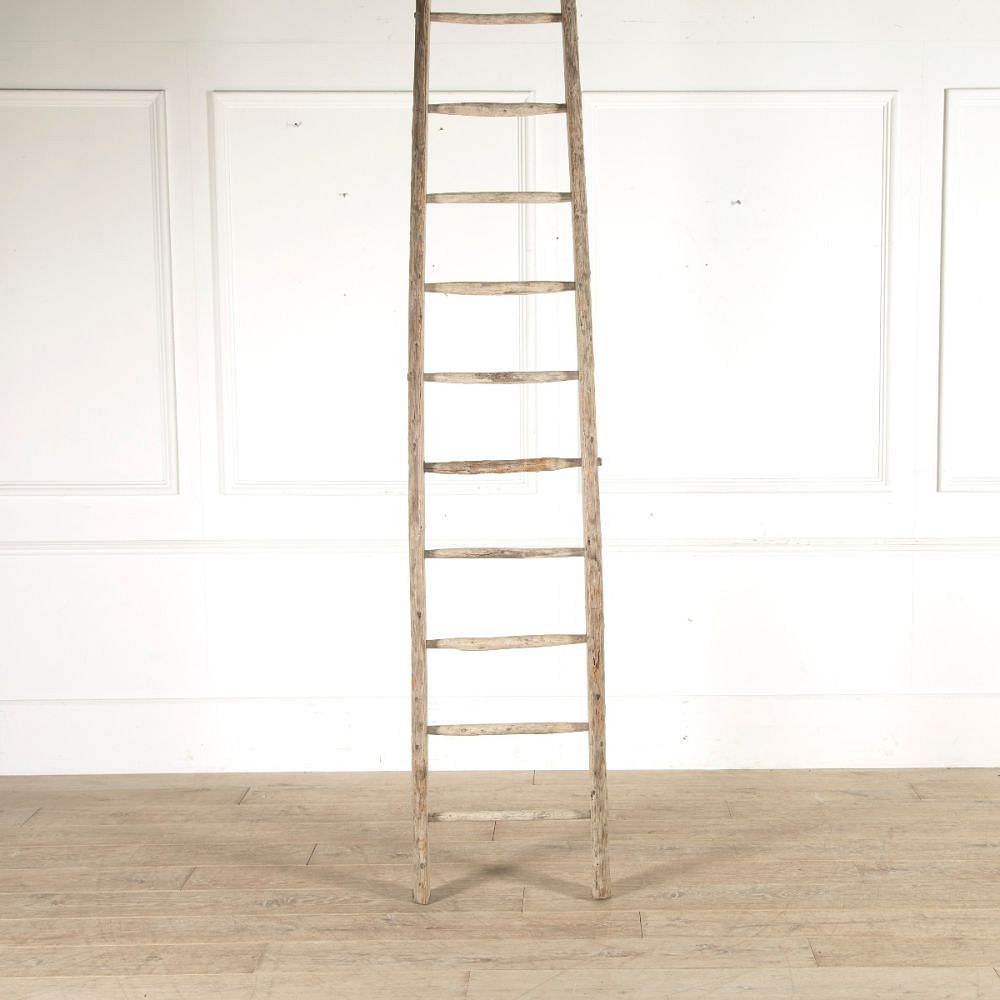 Tall French Orchard Ladder DA159325