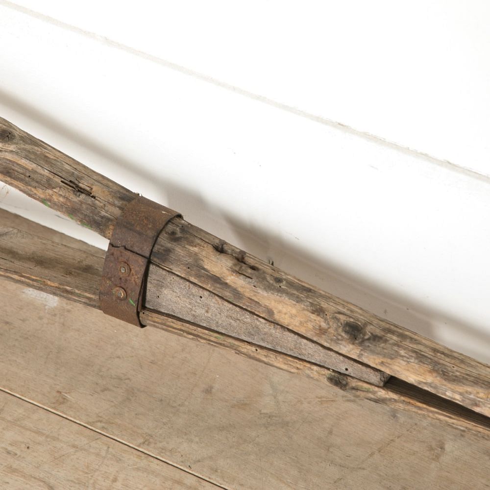 Tall French Orchard Ladder DA159325