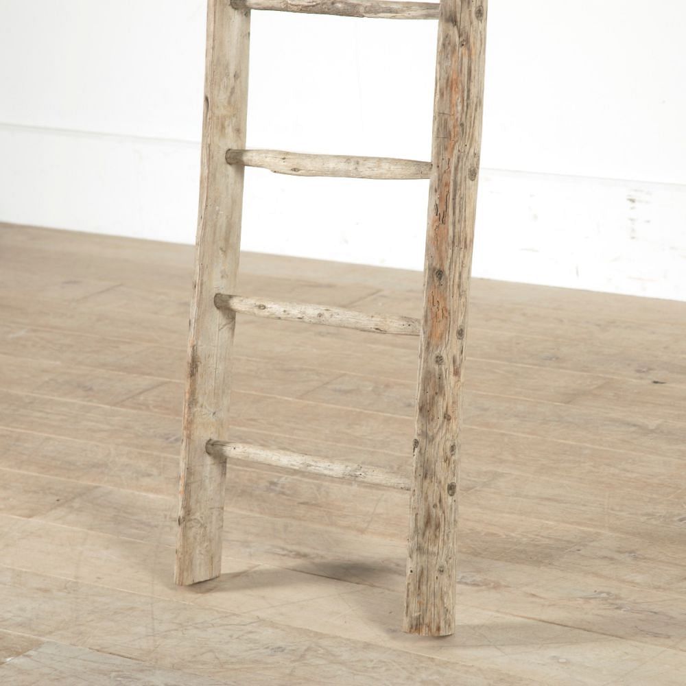 Tall French Orchard Ladder DA159325