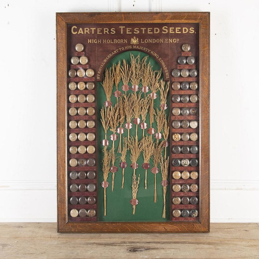 19th Century Carter Tested Seed Wall Display DA6923783