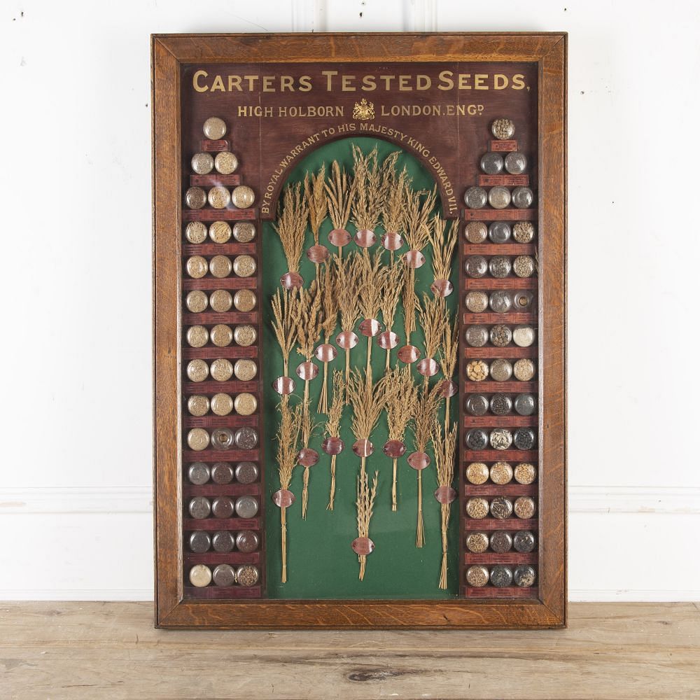 19th Century Carter Tested Seed Wall Display DA6923783