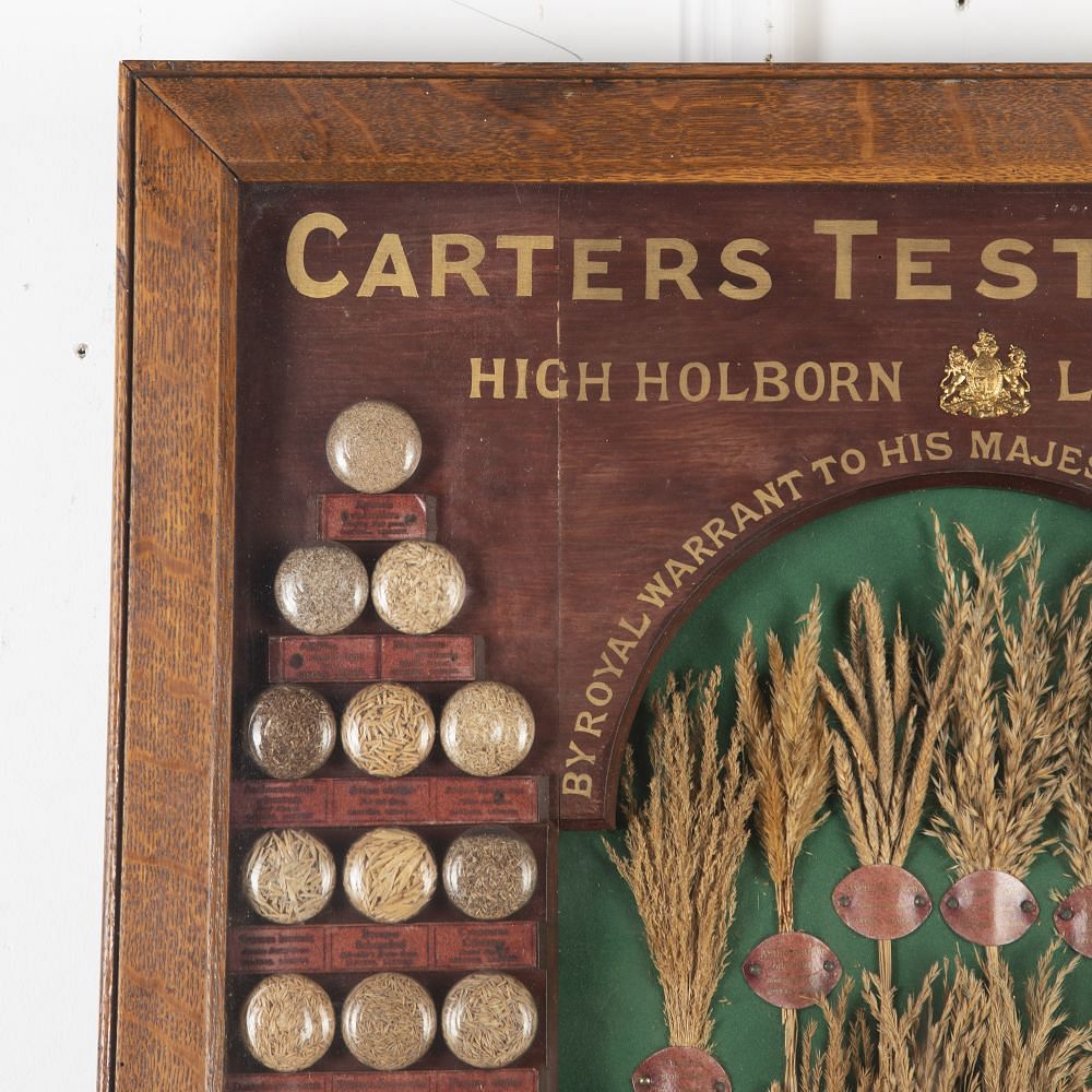 19th Century Carter Tested Seed Wall Display DA6923783