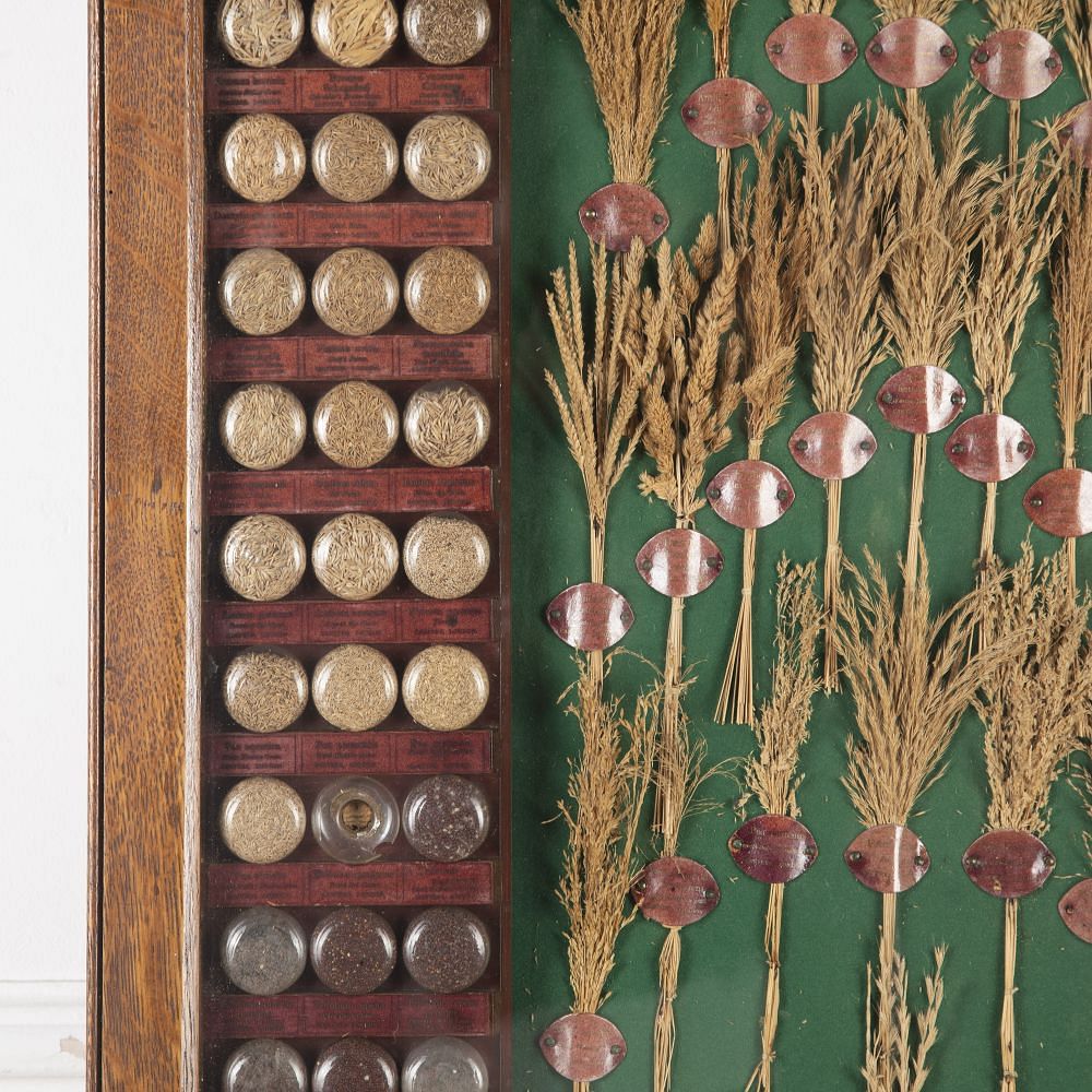 19th Century Carter Tested Seed Wall Display DA6923783