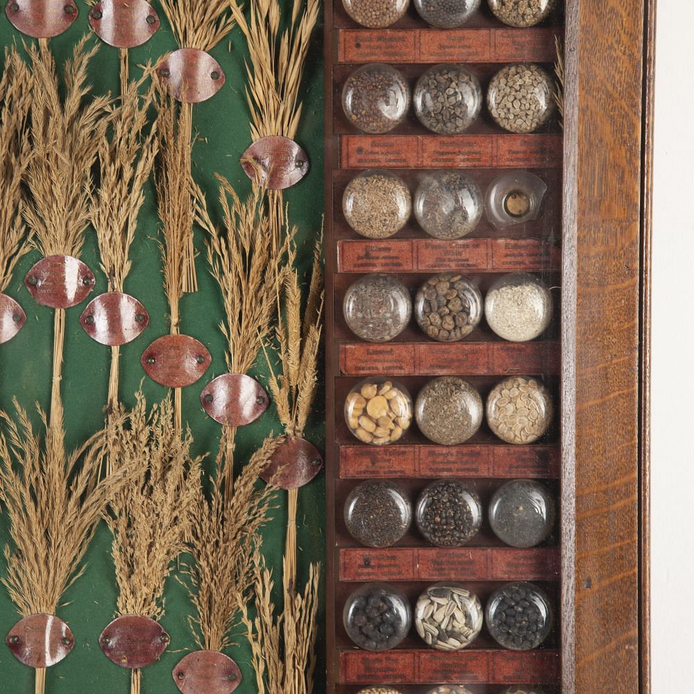 19th Century Carter Tested Seed Wall Display DA6923783