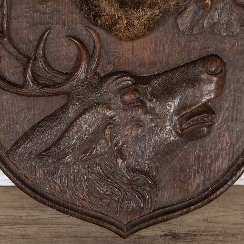 19th Century Antlers Mounted on Carved Shield DA8525864