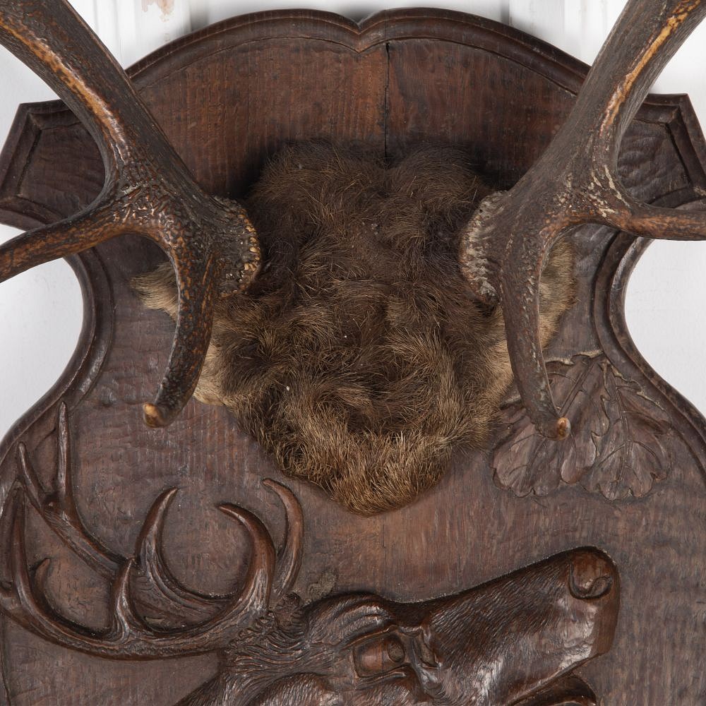 19th Century Antlers Mounted on Carved Shield DA8525864