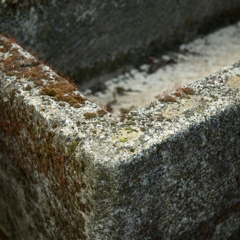 Stone Trough in Limestone GA1911153