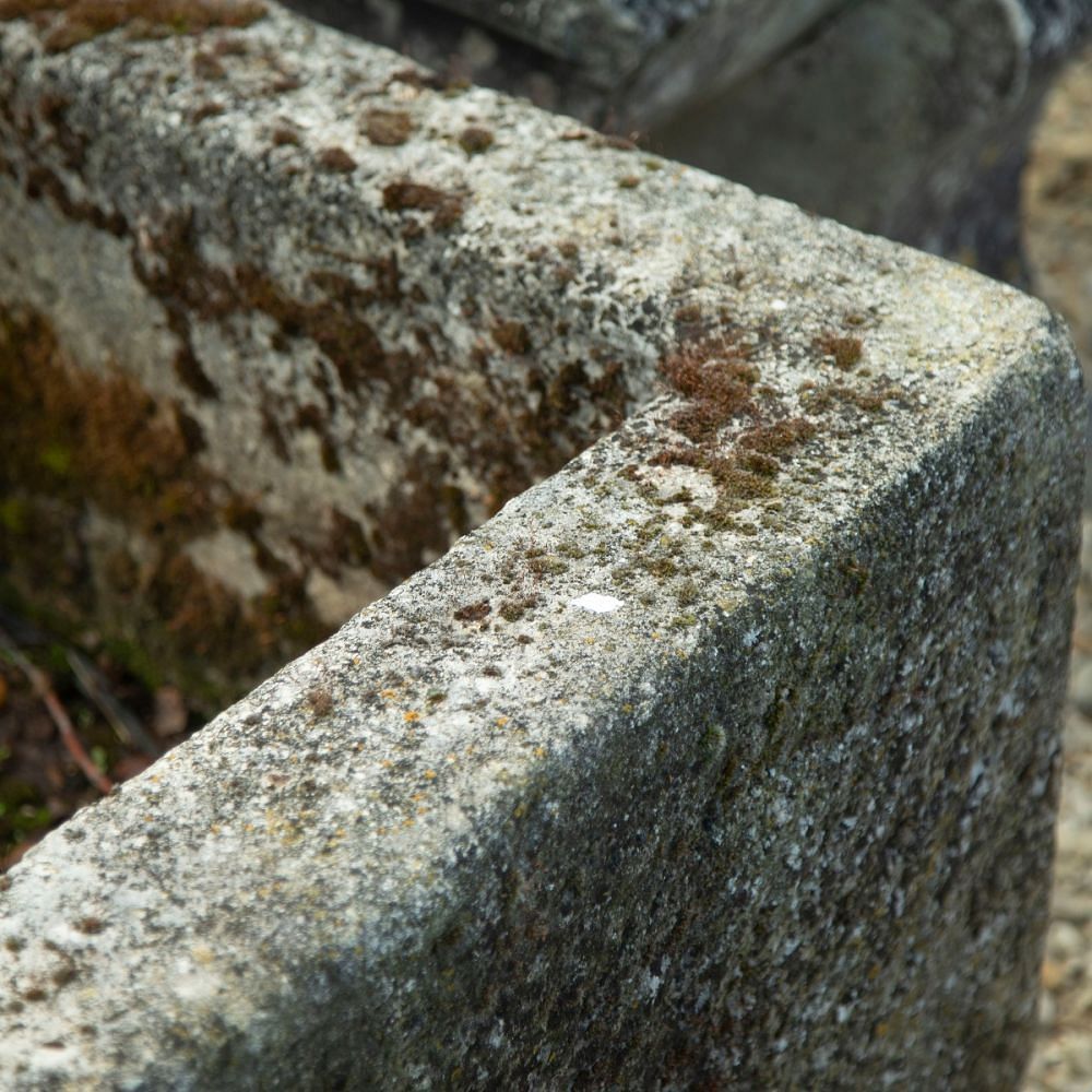 Stone Trough in Limestone GA1911153