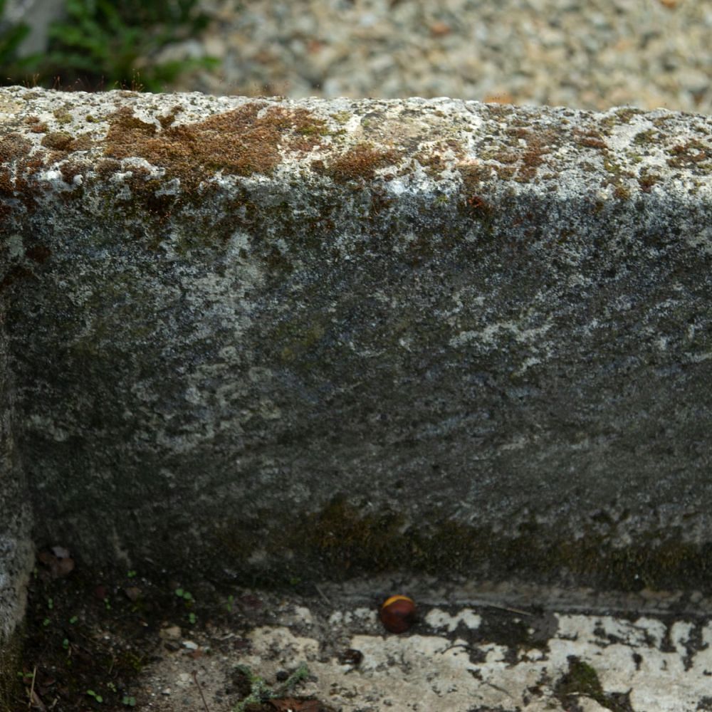 Stone Trough in Limestone GA1911153