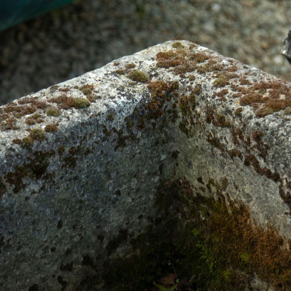 Stone Trough in Limestone GA1911153