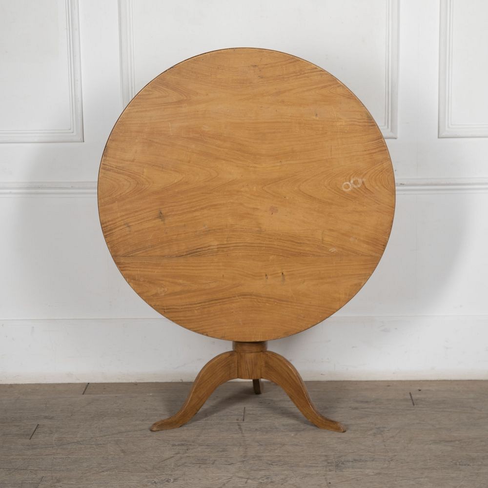 19th Century Tilt Top Painted Table TC5227219