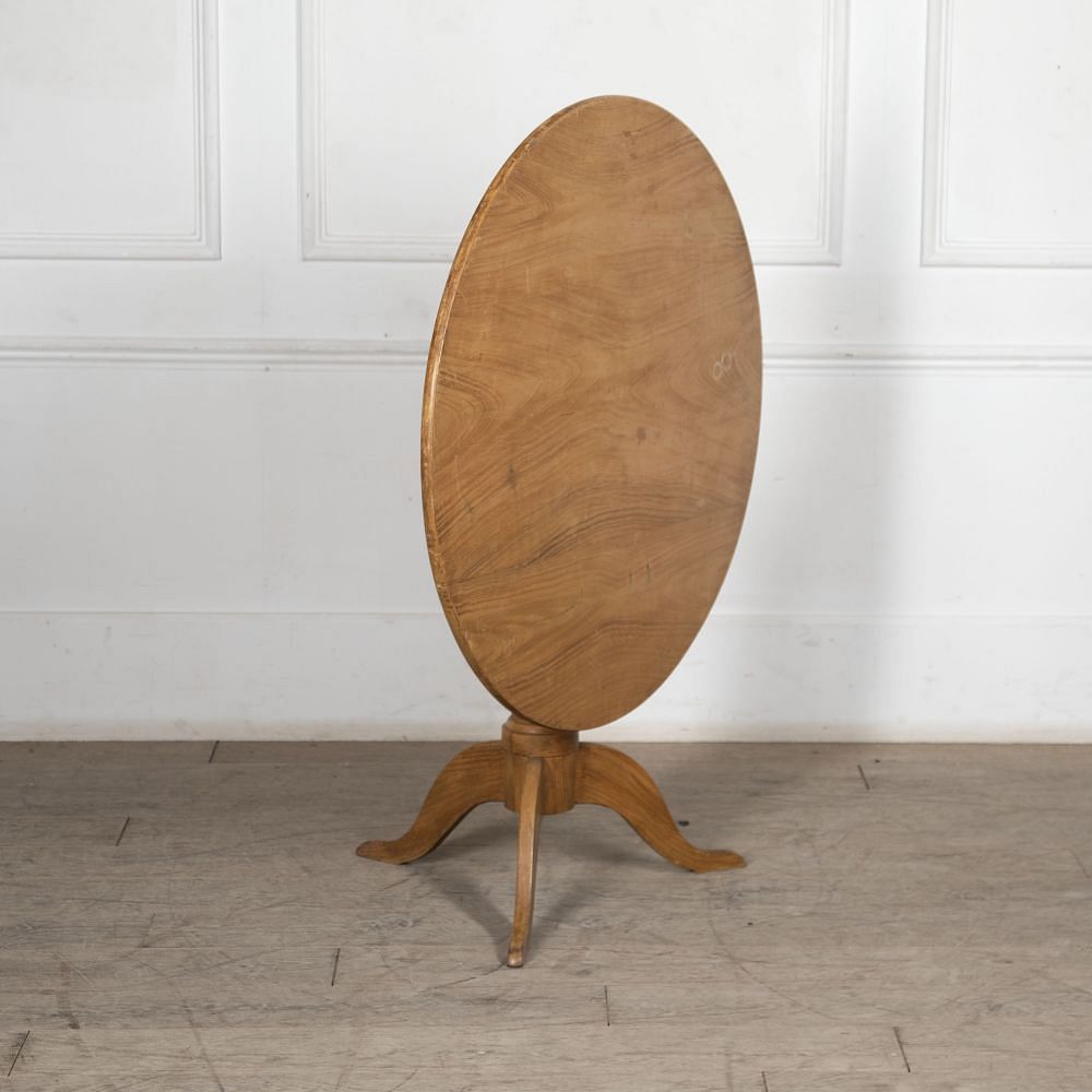 19th Century Tilt Top Painted Table TC5227219