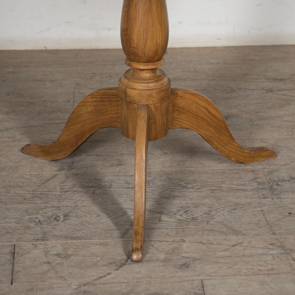 19th Century Tilt Top Painted Table TC5227219