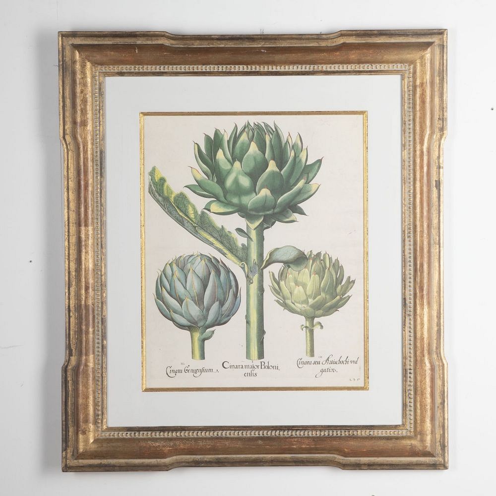 20th Century Print of Basilius Besler Artichokes WD9031035