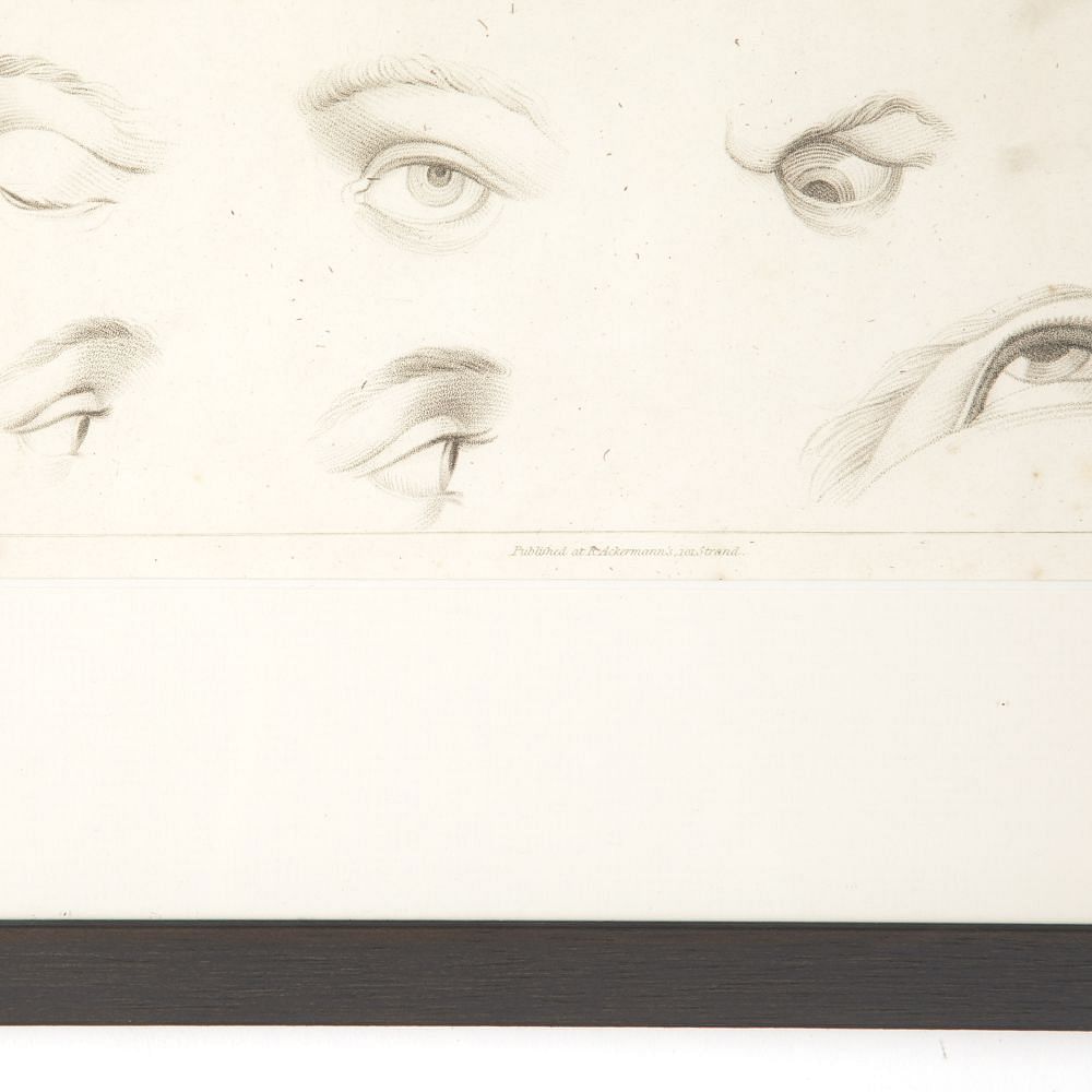 Set of Four Framed Engravings of Facial Features from Ackermann's 'Cabinet of Arts' WD8015115