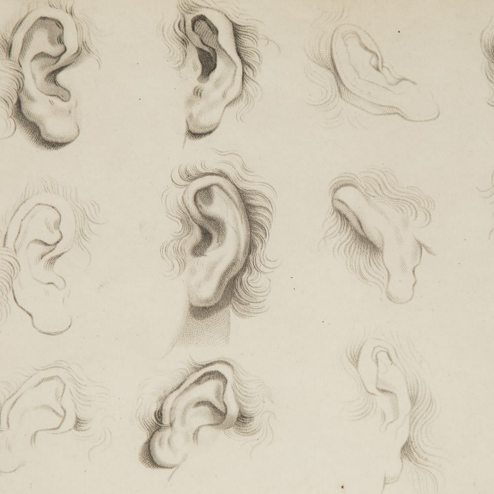Set of Four Framed Engravings of Facial Features from Ackermann's 'Cabinet of Arts' WD8015115