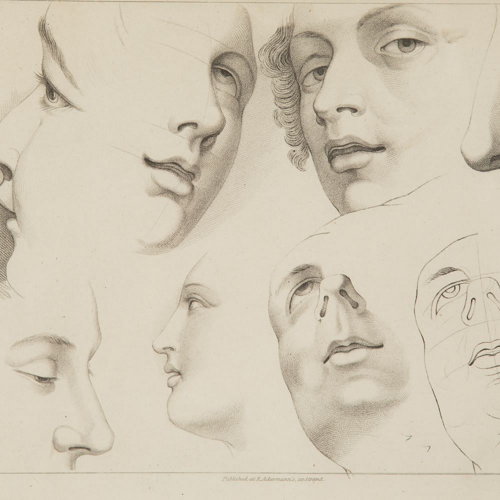 Set of Four Framed Engravings of Facial Features from Ackermann's 'Cabinet of Arts' WD8015115