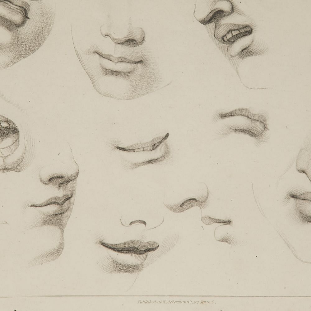 Set of Four Framed Engravings of Facial Features from Ackermann's 'Cabinet of Arts' WD8015115