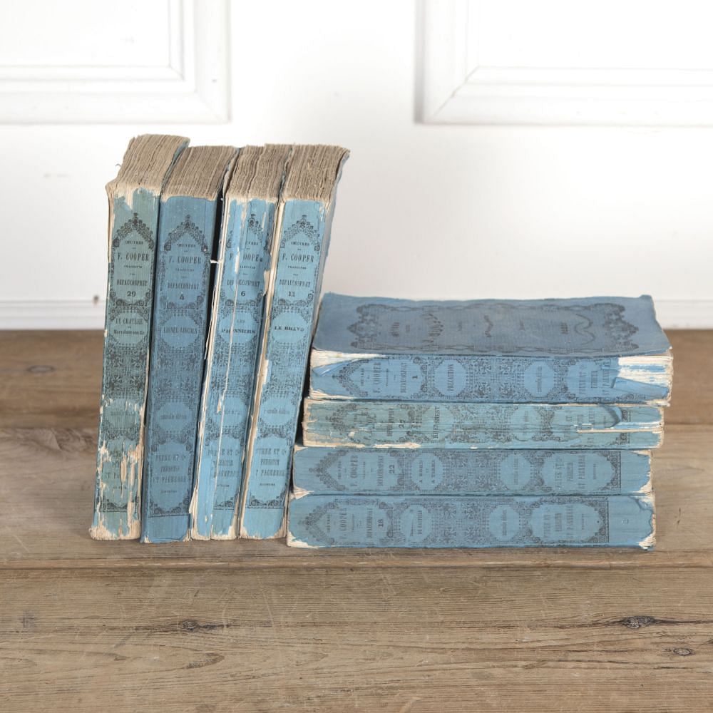 Collection of 19th Century French Books DA3722167