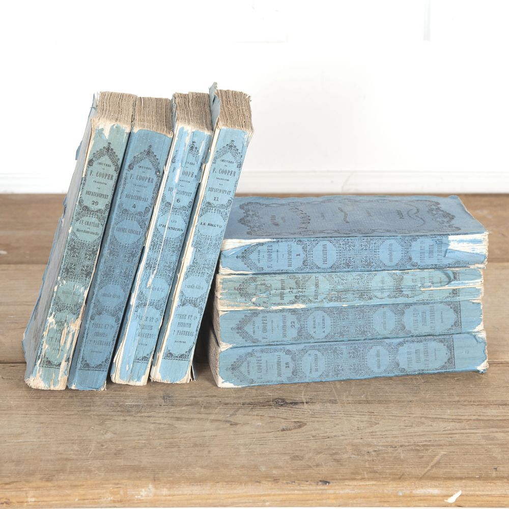 Collection of 19th Century French Books DA3722167