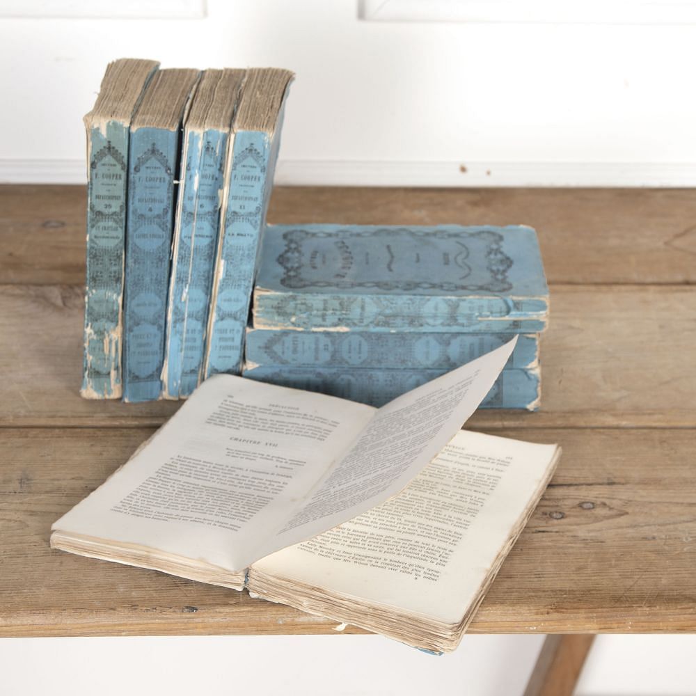 Collection of 19th Century French Books DA3722167
