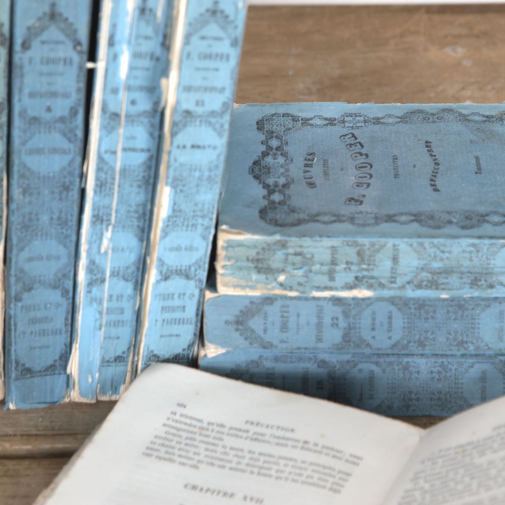 Collection of 19th Century French Books DA3722167