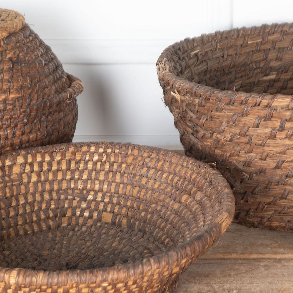 Collection of Early 20th Century Handwoven Rye Coiled Baskets DA3733047
