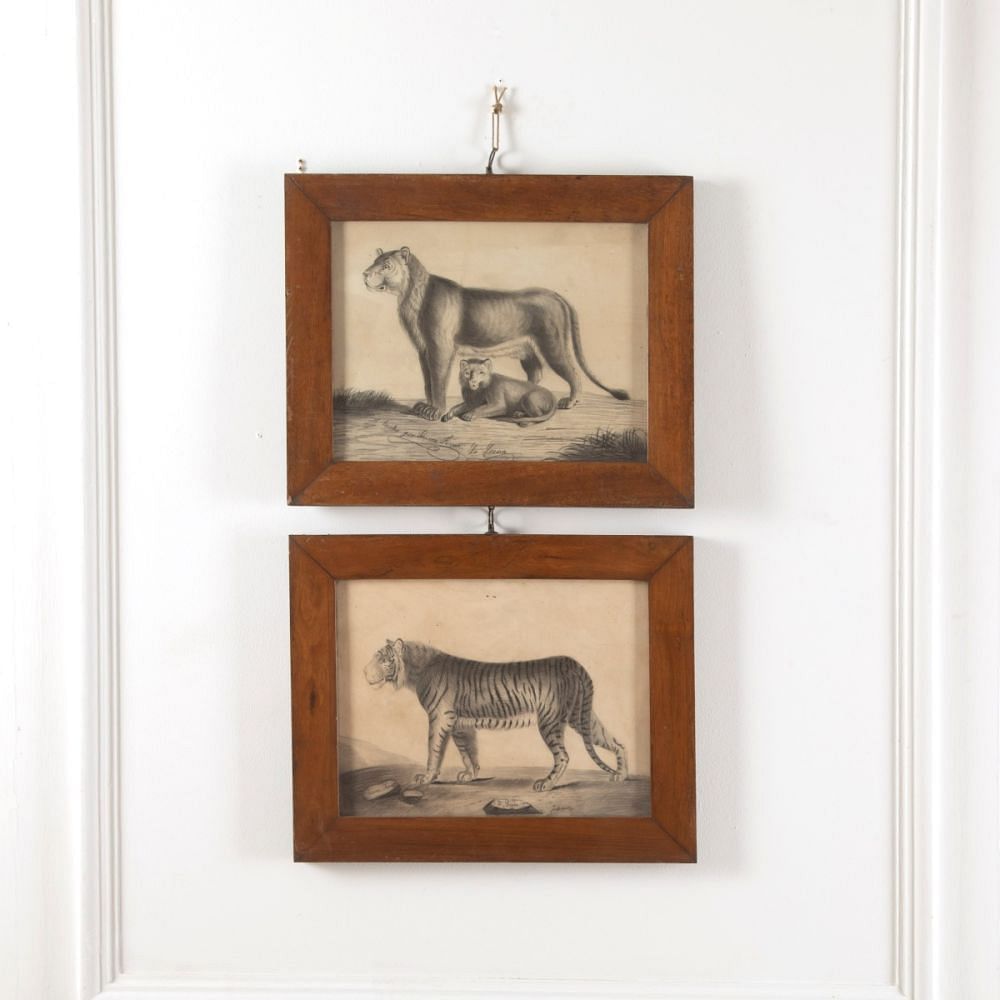 Pair of 19th Century Etchings Of A Lion And A Tiger WD6011506