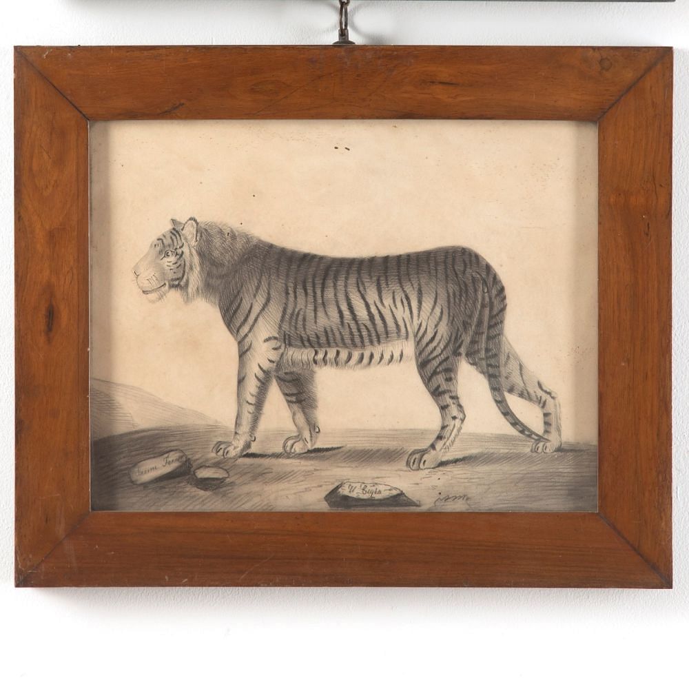 Pair of 19th Century Etchings Of A Lion And A Tiger WD6011506