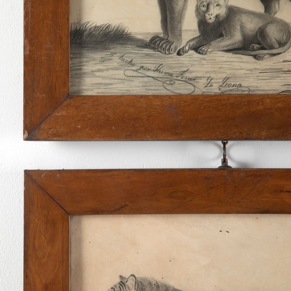 Pair of 19th Century Etchings Of A Lion And A Tiger WD6011506