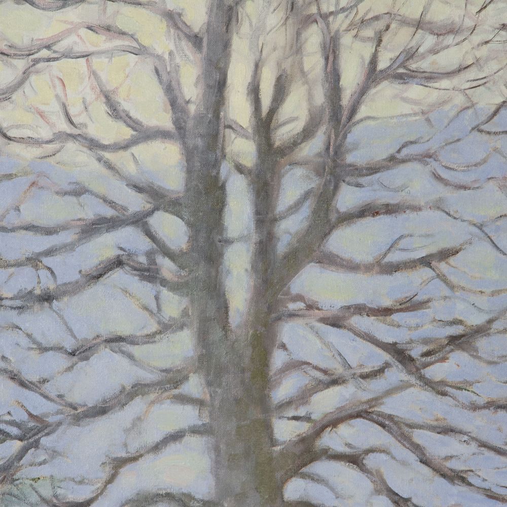 Still Life of A Tree by Susanna Linhart WD2917512