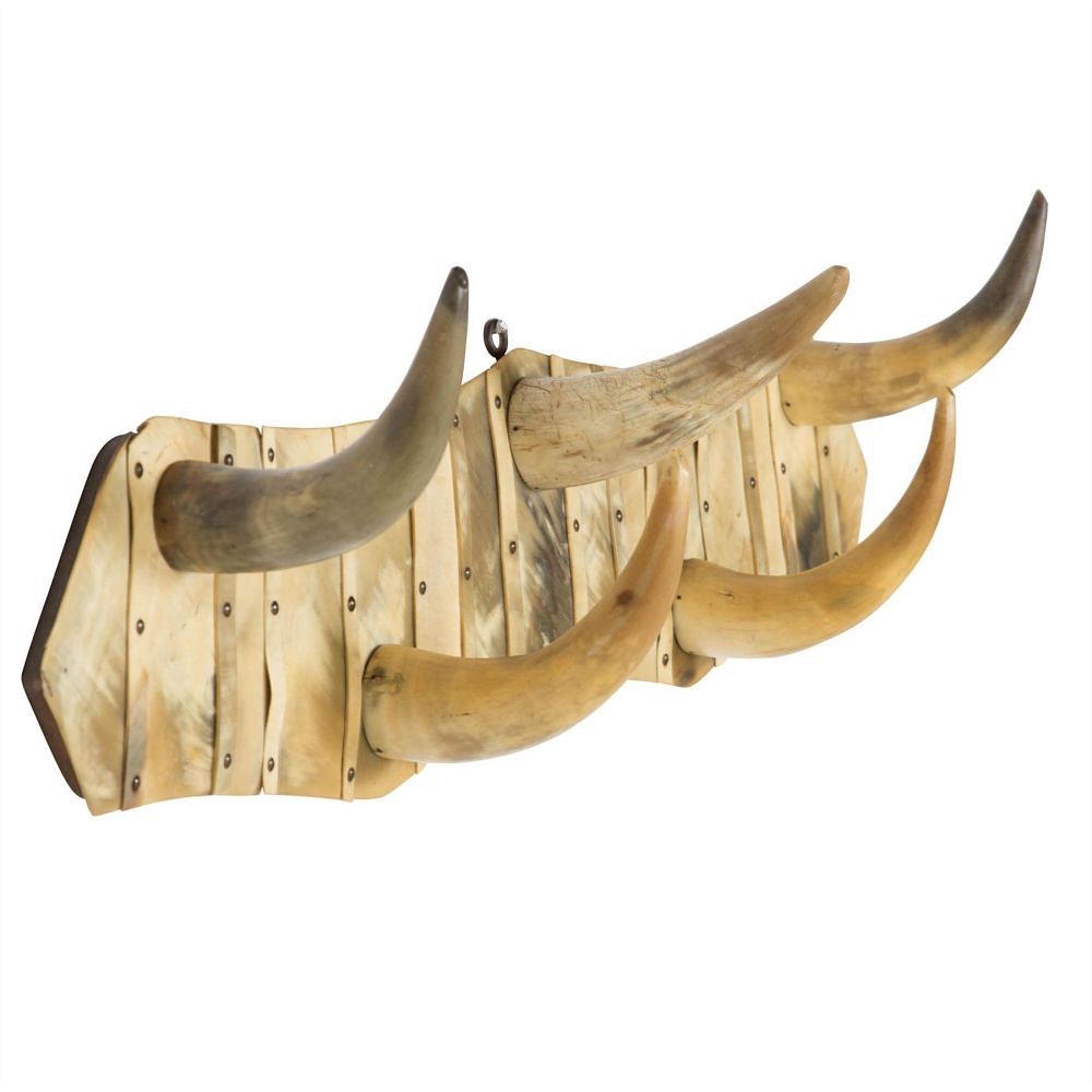 Horn Hooks DA156397
