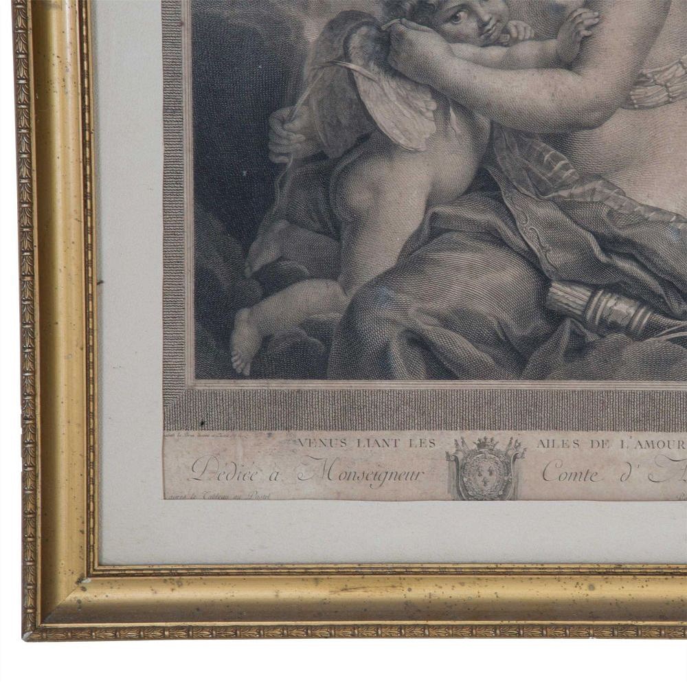 Framed Engraving WD5558045